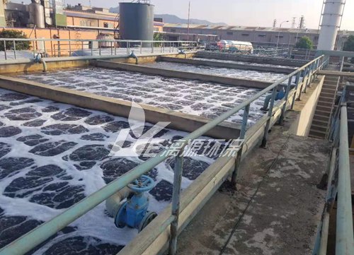 惠州新泰美紡織印染廢水處理提標改造工程項目